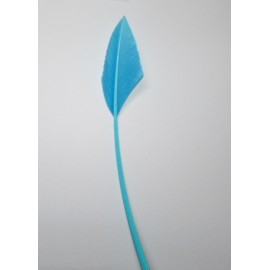 Arrowhead - Turquoise