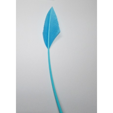 Arrowhead - Turquoise