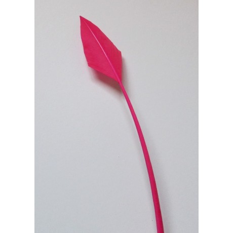 Arrowhead - Sweet Pink