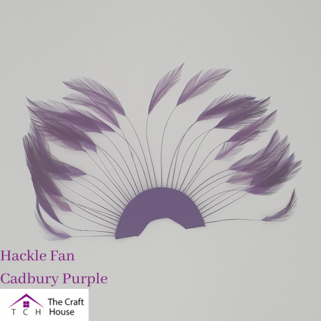 Hackle Fan Cadbury Purple