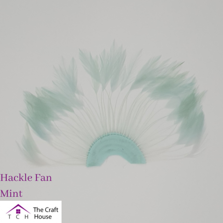 Hackle Fan Mint