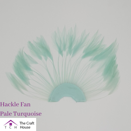 Hackle Fan Pale Turquoise