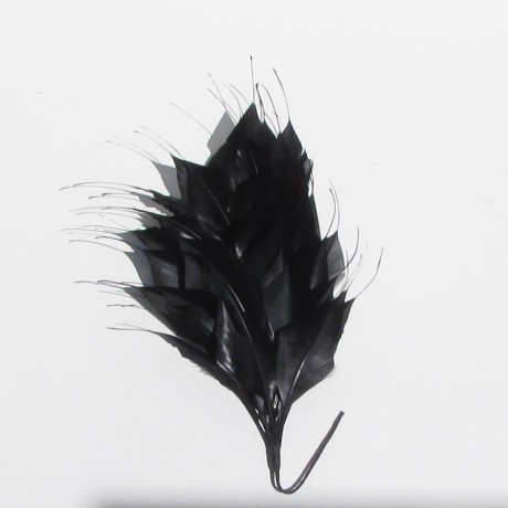 Large Coque Feather Mount