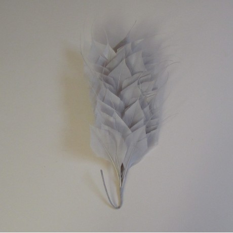 Large Coque Feather Mount