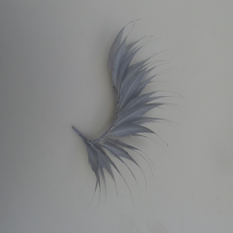 Medium Coque Feather Mount
